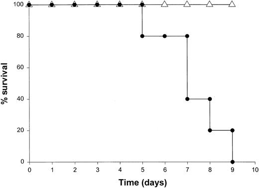 Fig. 4. The role of IFN-γ in the lethal toxicity of IL-18 plus IL-12. / IFN-γ−/− (▵) mice and C57BL/6 control mice (●) received daily IP injections of IL-18 plus IL-12 and were monitored for toxicity. These experiments are representative of 2 separate determinations.