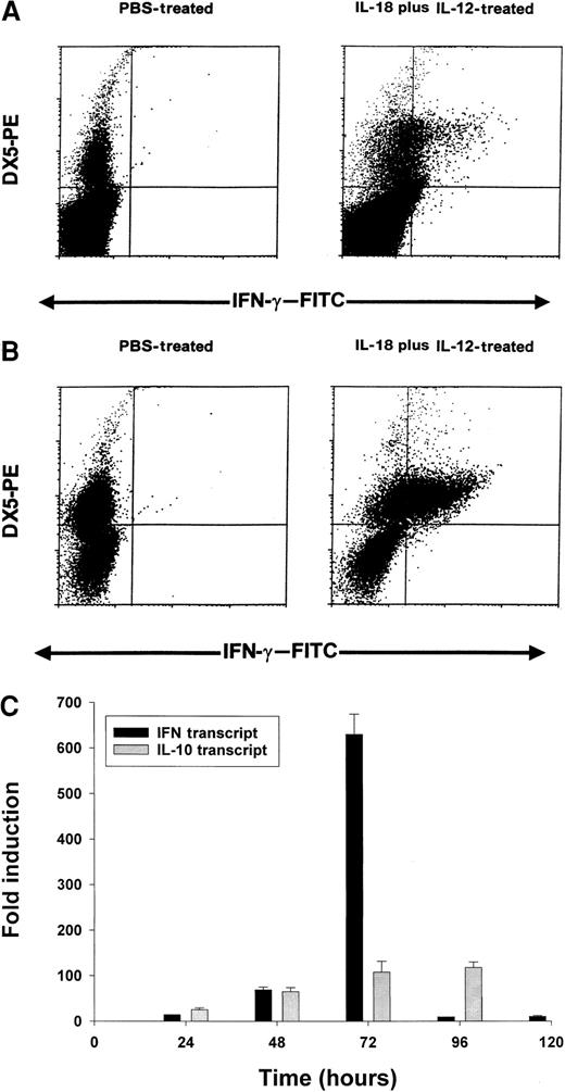 Fig. 5. Induction of IFN-γ protein and transcript by IL-18 plus IL-12. / Four- to 6-week-old C57BL/6 mice (A) or C.B-17 SCID mice (B) received IP injections of IL-18 plus IL-12, and their spleens were harvested at 24 hours. Splenocytes were cultured for 4 hours in brefeldin A, permeabilized, stained with DX5-PE mAb (pan-NK) and anti–muIFN-γ–FITC mAb, and analyzed by flow cytometry with the use of a mononuclear cell gate. (C) Real Time RT-PCR analysis of SCID splenocytes for IFN-γ and IL-10 transcripts at various times after IP injection of IL-18 plus IL-12.