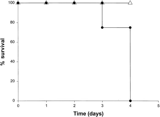 Fig. 7. The role of the macrophage compartment in the toxicity of IL-18 plus IL-12. / SCID mice were partially depleted of macrophages by pretreatment with the F4/80 mAb (▵). Control mice were pretreated with injections of a control mAb (●). Mice that had been treated with F4/80 mAb also received daily IP injections of rmuIL-10 (5 μg) beginning 2 days prior to cytokine treatment.44 Mice in both groups subsequently received daily IP injections of IL-18 plus IL-12 and were monitored for survival. This experiment was repeated twice with similar results.