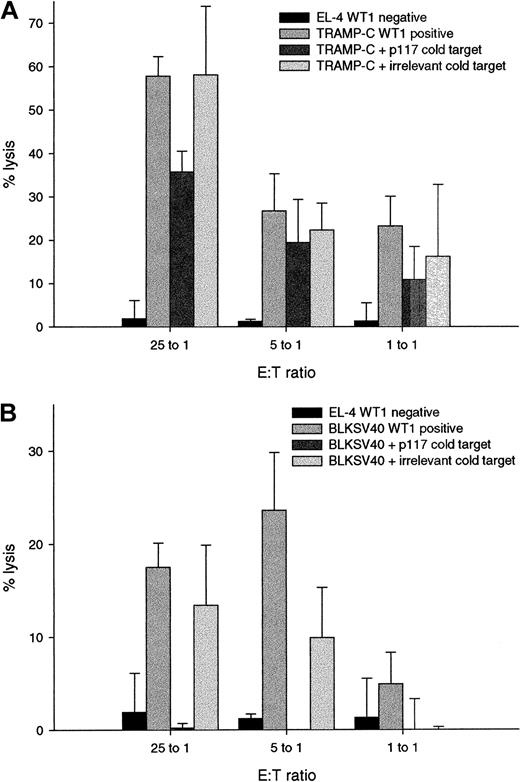 Fig. 6. Specificity of lysis of WT1-positive tumor cells is demonstrated by cold target inhibition. / Bars represent the mean percentage of specific lysis and standard deviations in chromium release assays performed in triplicate with E:T ratios of 25:1, 5:1, and 1:1. (A) Cytotoxic activity of the p117-139 specific T-cell line against the WT1-negative cell line EL-4 (EL-4, WT1-negative); the WT1-positive tumor cell line TRAMP-C (TRAMP-C, WT1-positive); TRAMP-C cells incubated with a 10-fold excess (compared to the hot target) of EL-4 cells pulsed with the relevant peptide p117-139 (TRAMP-C + p117-139 cold target) without 51Cr labeling and TRAMP-C cells incubated with EL-4 pulsed with an irrelevant peptide without 51Cr labeling (TRAMP-C + irrelevant cold target). (B) Cytotoxic activity of the p117-139–specific T-cell line against the WT1-negative cell line EL-4 (EL-4, WT1 negative); the WT1-positive tumor cell line BLKSV40 (BLKSV40, WT1 positive); BLKSV40 cells incubated with the relevant cold target (BLKSV40 + p117-139 cold target), and BLKSV40 cells incubated with the irrelevant cold target (BLKSV40 + irrelevant cold target).