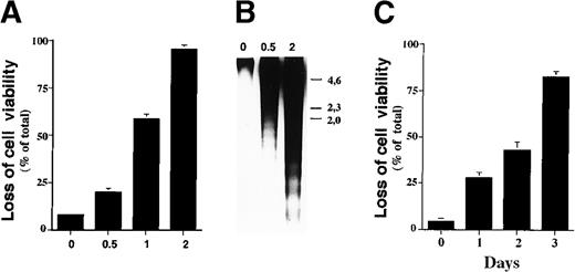 Fig. 1. Sodium butyrate induces apoptosis in ILT-Mat cells. / (A) Dose response of the loss of cell viability by sodium butyrate. Human IL-2–dependent adult T-cell leukemia (ATL) ILT-Mat cells were treated with sodium butyrate at the indicated concentrations (mmol/L) for 48 hours. Cell viability was assessed by trypan blue exclusion assay. The results, 7.2 ± 0.6(0), 21.0 ± 2.4 (0.5), 55.3 ± 3.7(1), and 93.3 ± 2.9%(2) of total cells, are averages of triplicate samples from 3 experiments ± SD. (B) DNA fragmentation in ILT-Mat cells. The proliferating ILT-Mat cells were incubated with sodium butyrate at the indicated concentrations (mmol/L) for 48 hours. Their low molecular weight genomic DNA was extracted and analyzed on 1.2% agarose gels, which were stained with 1 μg/mL of ethidium bromide. The size marker (λ phage/Hind III-digested DNA) is indicated. (C) Time course of apoptosis in response to sodium butyrate. ILT-Mat cells were treated with sodium butyrate at 1 mmol/L for the indicated days. Cell viability was assessed by trypan blue exclusion assay. The results, 4.3 ± 1.5(0), 27.7 ± 3.2(1), 42.7 ± 4.7(2), and 82.3 ± 2.9%(3) of total cells, are averages of triplicate samples from 3 experiments ± SD.
