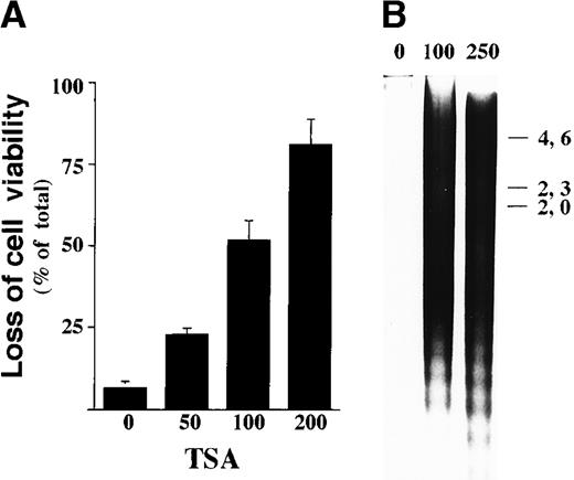 Fig. 2. TSA induces apoptosis in ILT-Mat. / (A) Dose response of cell death in ILT-Mat cells by TSA. ILT-Mat cells were treated with TSA at the indicated concentrations (nmol/L) for 48 hours and investigated by trypan blue dye exclusion assay. The results, 4.3 ± 1.5(0), 24.6 ± 2.1(50), 51.7 ± 6.7(100), and 83.0 ± 7.6%(200) of total cells, are averages of triplicate samples from 3 experiments ± SD. (B) DNA fragmentation in ILT-Mat cells. Proliferating ILT-Mat cells were incubated with TSA at the indicated concentrations (nmol/L) for 48 hours. Low molecular DNAs were extracted from the treated and untreated cells and loaded onto 1.2% agarose gel with the size marker (λ phage/Hind III-digested DNA).
