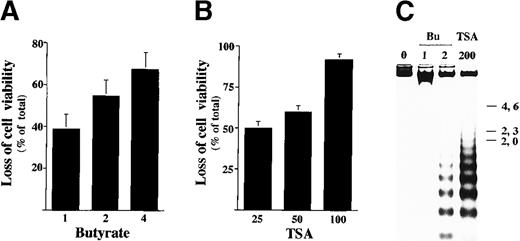 Fig. 6. Sodium butyrate and TSA induce apoptosis in F7 cells. / (A) Dose response of cell death in F7 cells by butyrate. F7 cells were treated with 1 to 4 mmol/L sodium butyrate for 48 hours and investigated by trypan blue dye exclusion assay. The results, 38.7 ± 7.0(1), 54.7 ± 7.6(2), and 67.3 ± 8.1%(4) of total cells, are averages of triplicate samples from 3 experiments ± SD. (B) F7 cells were treated with 25 to 100 nmol/L TSA for 48 hours and investigated by trypan blue dye exclusion assay. The results, 50.0 ± 4.0(25), 60.1 ± 3.9(50), and 91.7 ± 3.8%(100) of total cells, are averages of triplicate samples from 3 experiments ± SD. (C) DNA fragmentation in F7 cells. Proliferating F7 cells were incubated with sodium butyrate (Bu) or TSA at the indicated concentrations (mmol/L or nmol/L, respectively) for 48 hours. Genomic DNAs were extracted from the treated and untreated cells, and loaded onto 1.2% agarose gel with the size marker (λ phage/Hind III-digested DNA).