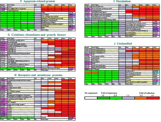 Fig. 2. Functional classification of genes modulated by ATRA during differentiation of NB4 cells. / A total of 169 ATRA-modulated genes (100 up-regulated and 69 down-regulated) are clustered into 10 groups (groups A-J) according to their functions. The expression pattern of each gene is displayed here as a horizontal strip, with the down-regulated genes on the left-hand side of the graph and the up-regulated ones on the right-hand side. For each gene, the ratio of mRNA levels in NB4 cells at the indicated time after ATRA treatment to its level in untreated (time zero) NB4 cells is represented by a color, according to the color scale at the bottom. Genes whose expression was resistant to cycloheximide are highlighted by using the yellow background in the column for gene names. Regarding genes also existing in Golub's system with Affymetrix chips, different colors were used to label the column of their accession numbers. The genes with the same expression pattern in both systems are painted in rose; those modulated in our system but not in Golub's are painted in sky-blue; while those with opposite patterns are painted in purple.