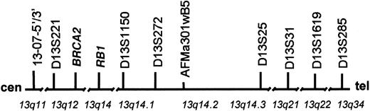 Fig. 1. Chromosome 13 map. / This map of chromosome 13 with approximate band positions of TRI-FISH probes is oriented from centromere to telomere (left to right). The band designations are indicated below the line. The genes or sequence tagged site (STS) markers used to clone the BAC probes are depicted above the line. The chromosome length is not to scale and gaps have been placed in the chromosome to indicate large regions of nonlinkage.