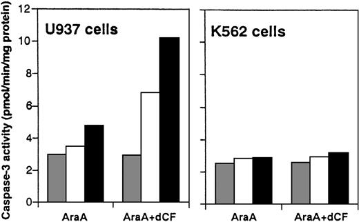 Fig. 3. Induction of caspase-3 activity by dCF and AraA. / Cell lysates from U937 and K562 cells treated with 0 (), 1 (□), or 3 (▪) μM AraA and/or 10 nmol/L dCF for 2 days were assayed for protease activity toward Ac-DEVD-MCA. Values are the means of 3 separate experiments.