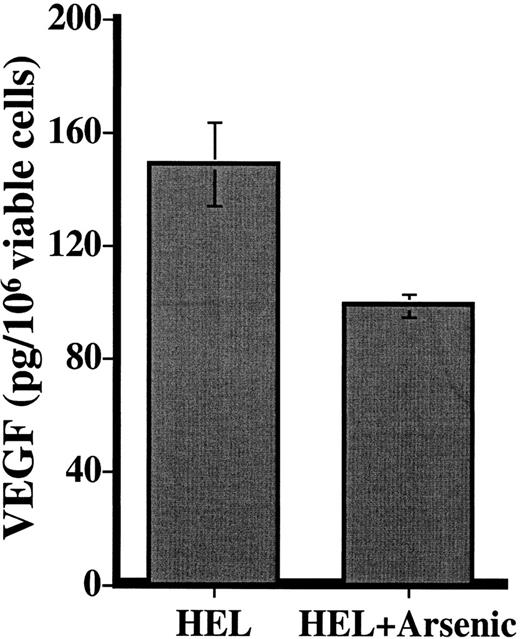 Fig. 7. VEGF production by the cell line HEL in the presence and absence of 5 × 10−6 mol/L As2O3for 48 hours. / Results (pg/106 viable cells) are expressed as the mean ± SD of 2 independent experiments, in which each condition was tested in triplicate at 2 different dilutions.