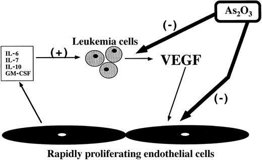 Fig. 9. Schema illustrating proposed sites of action of As2O3 in interrupting a reciprocal feedback loop between leukemic cells and endothelium.
