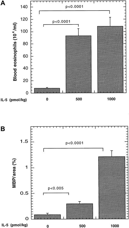 Fig. 3. Effect of pharmacologic administration of IL-5 on eosinophils in the blood and Peyer's patches. / Saline alone or containing IL-5 (500 or 1000 pmol/kg) was delivered to mice via a mini-osmotic pump. The level of eosinophils in the blood (A) and Peyer's patches (B) was determined after 8 days. The number of MBP immunopositive cells is expressed as MBP per area (%) by morphometric analysis and represented as mean ± SEM (n = 6-8). The statistical significance of experimental groups was analyzed using the unpaired Student t test. Normalization of Peyer's patch eosinophils per mm2 resulted in 0.79 ± 0.36, 1.96 ± 0.93, and 12.3 ± 7.0 (mean ± SEM, n = 5-7) eosinophils/mm2 after saline and 500 and 1000 pmol of IL-5, respectively.
