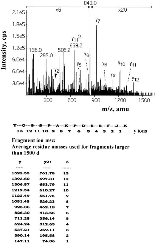 Fig. 5. Mass spectrometric sequencing (MS/MS) of the phosphopeptide-containing Y359. / The radioactive fraction containing the 2+ ion m/z 843 isolated by immobilized metal affinity chromatography and reverse-phase chromatography was subjected to sequence analysis by collisionally activated dissociation using a triple quadrupole mass spectrometer. The resultant MS/MS spectrum is shown with the sequence ions labeled as indicated.