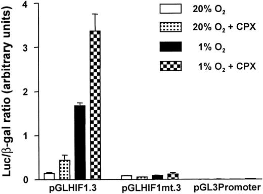Fig. 3. Activation of reporter gene expression in transiently transfected HepG2 hepatoma cells by CPX. / HepG2 cells were cotransfected with the indicated luciferase reporter gene constructs together with a β-galactosidase control expression vector. Following splitting and stimulation with hypoxia (1% oxygen) and/or CPX (8 μmol/L) for 43 hours, reporter gene activities were determined and expressed as a ratio between luciferase and β-galactosidase activities. The luciferase constructs contained 3 wild-type HBSs (pGLHIF1.3) or 3 mutant HBSs (pGLHIF1mt.3) as described previously.13 The empty parental vector pGL3 promoter was included as control. Means ± SD of 3 independent experiments.