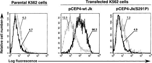 Fig. 5. Expression of wt Jk and Jk(S291P) polypeptides in K562 transfectants. / K562 cells transfected with pCEP4-wt Jk or Jk(S291P) cDNA constructs were stained with the human monoclonal antibody (MoAb) anti-Jka (1:2 dilution) used as control (light curve) and the human MoAb anti-Jkb (diluted 1:2 in phosphate-buffered saline) (heavy curve), followed by PE-goat antihuman IgG (Fab′2 fragments) and analyzed by flow cytometry. The log of the fluorescence intensity is shown on the abscissa and the cell number on the ordinate. The geometric means were reported for each population analyzed.