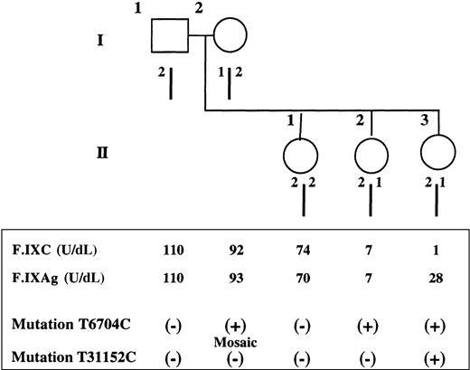 Fig. 1. Pedigree, haplotypes, and coagulation and mutation studies. / (Top) Pedigree and haplotype results of the family with female hemophilia B. Haplotype analysis by restriction fragment length polymorphism using the enzyme Dde I demonstrates that the 2 affected sisters, II2 and II3, share a common allele (2/1) with the mother (I2), whereas the normal sister (II1) inherited the mother's other allele (2/2). (Bottom) Coagulation and mutation studies. For each member of the family, F.IXC and F.IXAg are indicated as well as the presence (+) or the absence (−) of each characterized mutation.