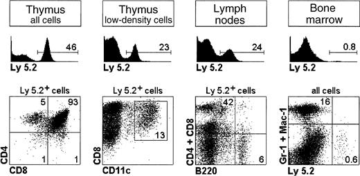 Fig. 4. Reconstitution potential of CD4lowprecursors. / CD4low precursors from Ly 5.2 mice were injected IV into Ly 5.1 recipient mice and the thymus, LNs, and BM were analyzed after 3 weeks for donor-derived Ly 5.2+ T cells, B cells, thymic lymphoid CD8+ DCs, and myeloid cells. The percentage of Ly 5.2+ donor cells and of the different cell subsets analyzed is indicated. Results are representative of 3 experiments with similar results.