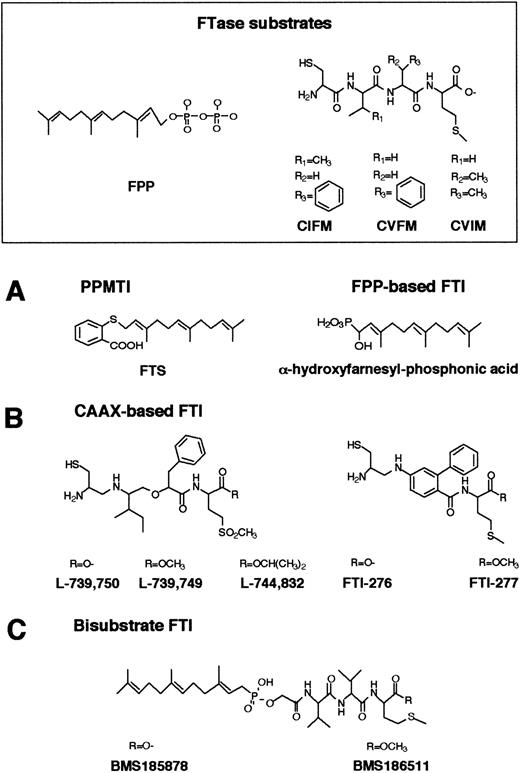 Fig. 5. Structures of FPP-, CAAX-based, and bisubstrate inhibitors of FTase. / (A) Chemical structures of FPP and FPP-based inhibitors of FTase and PPMTase. FPP is composed of a hydrophobic farnesyl group and a highly charged pyrophosphate moiety. The basic structural element in the FTase inhibitors is a farnesyl group, a pyrophosphate isostere, and a linker. (B) CAAX-based FTase inhibitors. Structural comparison between CAAX-based FTase inhibitors of the pseudopeptide class and the CAAX tetrapeptides CIFM and CVFM. The potent, nonsubstrate FTase inhibitors CIFM and CVFM were identified by systematic amino acid replacements within the CAAX sequence. In FTI-276 and FTI-277, the AA residues of the CAAX motif have been replaced by a hydrophobic linker. (C) In bisubstrate FTase inhibitors, the farnesyl group of FPP and the tripeptide group of the CAAX motif are connected via a linker.