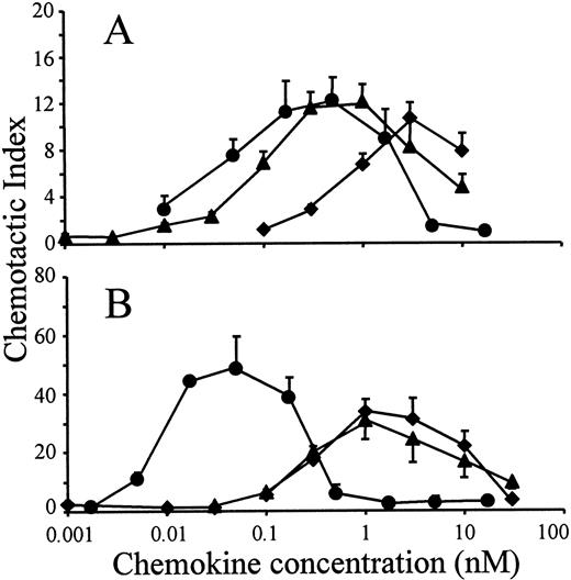 Fig. 2. Chemotactic activity of LD78α, intact LD78β, and LD78β(3-70) on lymphocytic and monocytic cell lines. / LD78α (♦), intact LD78β (▴), and truncated LD78β(3-70) (●) were tested at different concentrations in the in vitro Boyden microchamber chemotaxis test on (A) murine lymphocytic ESb/MP cells and (B) monocytic THP-1 cells. The results are expressed as the mean chemotactic index plus or minus SEM of 5 or more independent experiments.