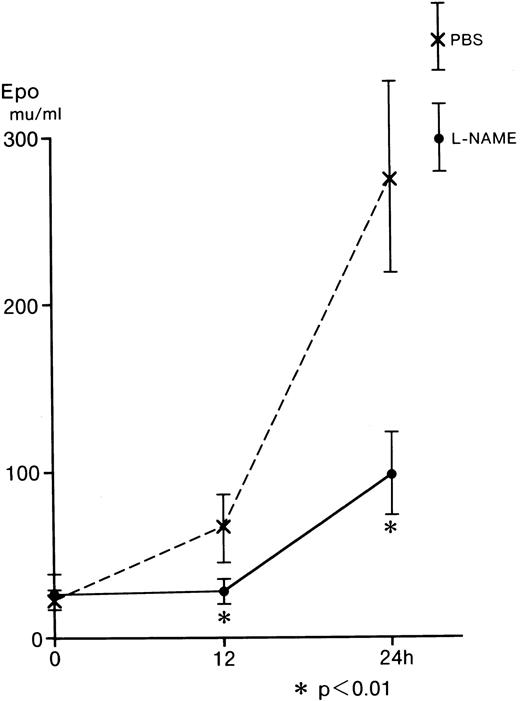 Fig. 5. Effect of L-NAME on serum Epo from anemic mice. / Five BDF1 mice were injected intraperitoneally with 0.2 mL of 10 mg L-NAME/mL PBS or 0.2 mL of PBS. Blood samples (0.3 mL) were taken from the orbital vein at 0, 12, and 24 hours after injection of L-NAME. Serum Epo levels were determined by RIA. Error bars represent 1 SD. *P < .01.