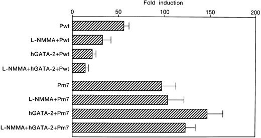 Fig. 6. Effect of L-NMMA on the induction of the wild-type and mutated GATA motifs of the Epo promoter/enhancer with Luc reporter constructs in Hep3B cells. / Wild-type (Pwt) and mutated (Pm7) GATA motifs. Hypoxic induction of Luc gene expression is represented as a hypoxia/normoxia ratio. Fold induction indicates this hypoxia/normoxia ratio. Three separate experiments (duplicate sample) were performed (n = 3). Error bars represent 1 SD.