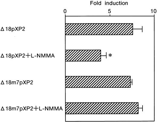 Fig. 7. Effect of L-NMMA on the induction of the wild-type and mutated GATA motifs of the Epo promoter with Luc reporter constructs in Hep3B cells. / Wild-type (Δ18pXP2) and mutated (Δ18m7pXP2) GATA motifs. Hypoxic induction of Luc gene expression is represented as a hypoxia/normoxia ratio. Fold induction indicates this hypoxia/normoxia ratio. Four separate experiments (duplicate sample) were performed (n = 4). Error bars represent 1 SD. *P < .01.