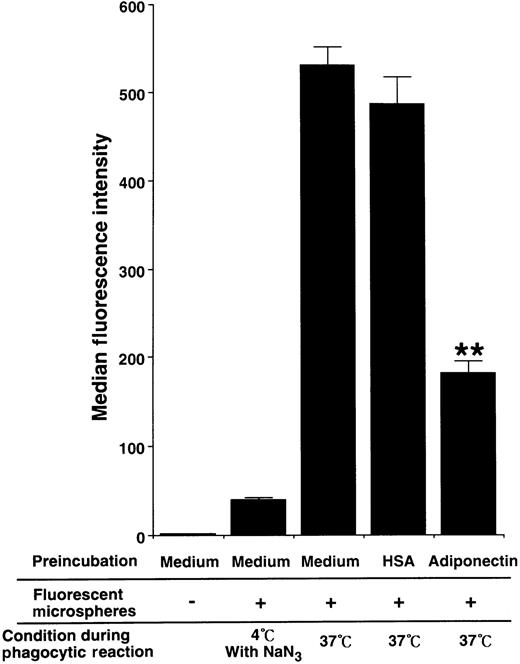 Fig. 7. Effect of adiponectin on the phagocytic activity of macrophages. / Human macrophages were incubated in serum-free medium containing 10 μg/mL adiponectin, HSA, or medium alone for 24 hours and subjected to phagocytosis assay. The fluorescence intensity level of nonspecifically binding microspheres was determined by using macrophages treated with 0.1% sodium azide on ice during incubation with fluorescent microspheres. The data represent the mean ± SD values from triplicate cultures. Significant differences from control (HSA) values are indicated by 2 (P < .01) asterisks. Similar results were obtained in 3 independent experiments.