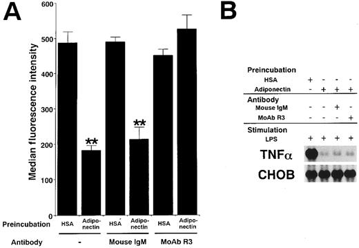 Fig. 9. Involvement of C1qRp in the suppressive effects of adiponectin on macrophage functions. / Human macrophages were incubated with 10 μg/mL adiponectin or HSA for 24 hours in the presence or absence of the indicated antibodies (30 μg/mL). (A) After incubation, the cells were subjected to phagocytosis assay. Significant differences from control (HSA) values are indicated by 2 (P < .01) asterisks. This figure shows 1 of 3 similar experiments. (B) After incubation, the cells were stimulated with 10 μg/mL LPS for 4 hours. Total RNAs were then isolated and subjected to Northern blot analyses. This figure shows 1 of 2 independent experiments.