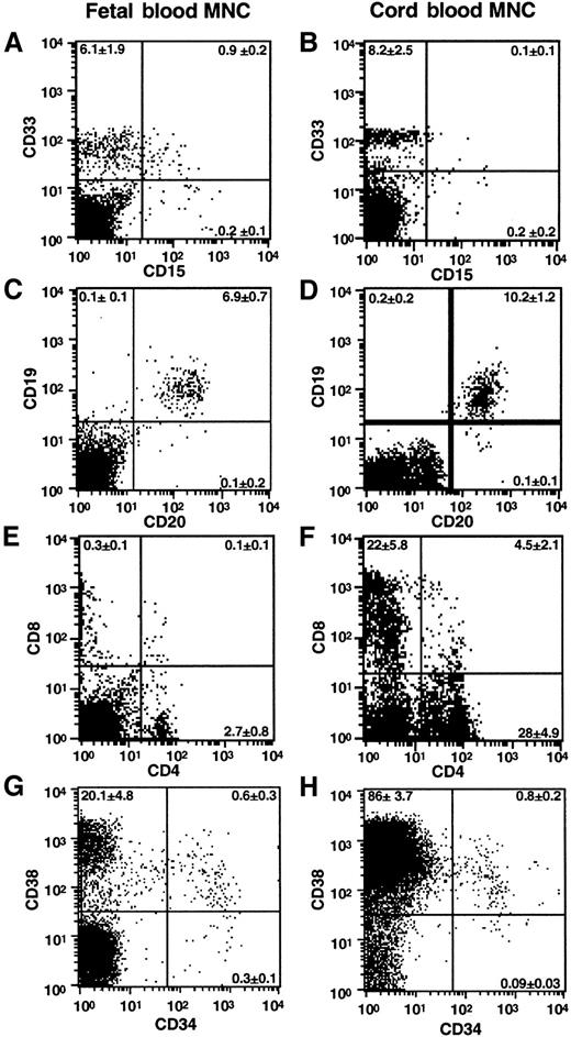 Fig. 1. Comparison of mature and primitive cell subsets constituting human fetal and CB-MNCs. / Representative analysis of cell surface markers using multiparameter flow cytometry of FB- and CB-MNCs. Composition of myeloid cells was indicated by CD33 and CD15 (A,B), B-lymphoid cells by CD19 and CD20 (C,D), T-lymphoid cells by CD4 and CD8 (E,F), and primitive subsets by CD34 and CD38 (G,H) cell surface expression. Average percentage for each subpopulation was calculated with SEM and indicated in each dot plot based on at least 4 independent FB and CB samples. Quadrant settings for each phenotype were based on isotype controls.