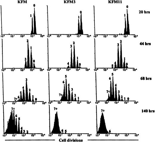 Fig. 2. Effects of IL-3 and IL-11 on the “proliferation history” of Lin−Sca-1+c-kit+cells cultured in the presence of KL+FL+MGDF. / CFSE-stained LSK cells were cultured in serum-free medium in the presence of the indicated growth factors. At the indicated time points, cells were analyzed by flow cytometry to determine their proliferation history. In each histogram, the number of cell divisions is indicated. Results are from 1 of 3 representative experiments.