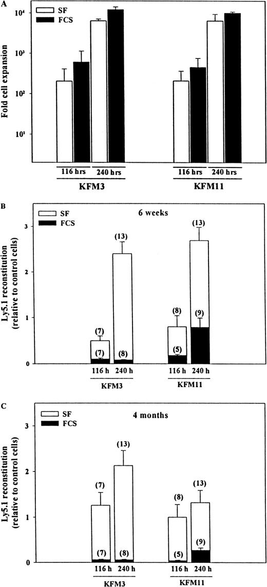 Fig. 5. Ex vivo expansion of Lin−Sca-1+c-kit+ cells in FCS-containing cultures abrogates their ability for short- and long-term reconstitution of lethally irradiated recipients. / Five hundred freshly isolated LSK cells, or the expansion equivalent, subjected to indicated ex vivo expansion, were transplanted along with 150 000 or 200 000 unfractionated BM cells (Ly5.2+) into lethally irradiated (Ly5.2+) mice. (A) Total cellular expansion of LSK cells after 116 hours and 240 hours in serum-free and FCS-containing medium. After 6 weeks (B) and 4 months (C), peripheral blood cells from transplanted mice were analyzed for the presence of donor-derived (Ly5.1+) reconstitution. Data for 116-hour and 240-hour cultures are representative of 2 and 3 experiments, respectively. Data are presented as Ly5.1 reconstitution relative to the mean of that obtained with 500 freshly isolated LSK cells (mean, 17%-40% at 6 weeks and 22%-40% after 4 months). Numbers in parentheses show the total number of mice analyzed for each group of treatment.