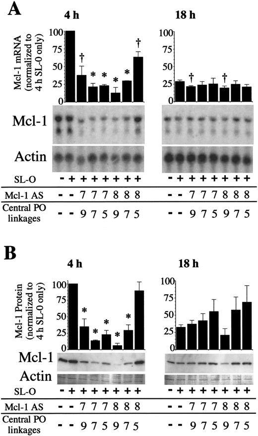 Fig. 4. Mcl-1 expression following chimeric Mcl-1 AS treatments. / PMA-stimulated U937 cells were treated with chimeric AS molecules, and RNA and protein samples were collected 4 and 18 hours after AS treatment. (A) Mcl-1 and actin mRNA and (B) protein were analyzed by Northern and Western blotting. The blots shown are representative of 3 independent experiments. Significant difference from controls treated only with SL-O is indicated by a dagger (P ≤ .05) or an asterisk (P ≤ .01).