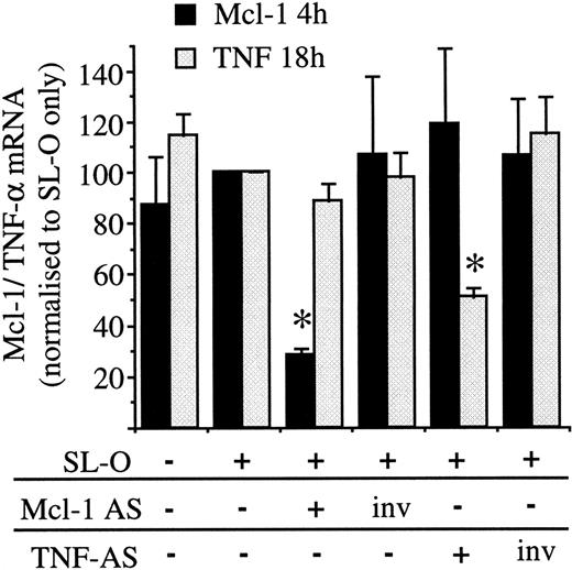 Fig. 5. Induction of TNF-α and Mcl-1 in PMA-treated U937 cells: specificity of AS treatments. / Oligodeoxynucleotides (Mcl AS8 5.9.5, TNF AS 6.8.5, and the inverted controls) were delivered into PMA-stimulated U937 cells stimulated for 3 hours. Mcl-1 and TNF-α mRNA were analyzed by Northern blotting. The data are shown as the mean plus or minus SD of 3 separate experiments. Significant difference from cells treated only with SL-O is indicated by an asterisk (P < .001).