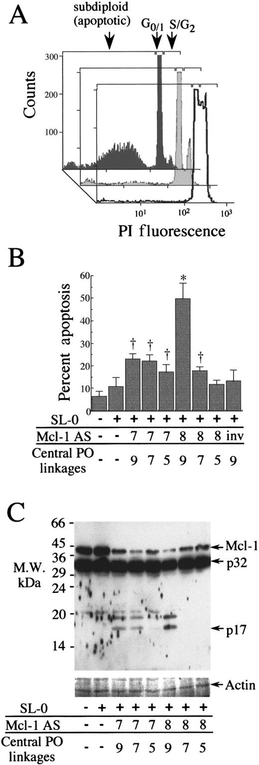 Fig. 7. Apoptosis and caspase-3 activation following oligodeoxynucleotide delivery to PMA-treated U937 cells. / (A) Representative flow cytometry traces of PI-stained nuclei, cells treated with Mcl AS8 5.9.5 (dark-shaded trace), SL-O (light-shaded trace) for 18 hours, and non-PMA–treated cells (open trace). (B) Apoptosis 18 hours after oligodeoxynucleotide delivery. The data are the mean plus or minus SD of 3 separate experiments. Significant difference from cells treated only by SL-O is represented by a dagger (P ≤ .05) or an asterisk (P ≤ .01). (C) Western blot showing Mcl-1 protein and caspase-3 (where p32 equals procaspase-3, and p17 equals a large active subunit) 4 hours after AS delivery. The data are representative of 3 experiments.