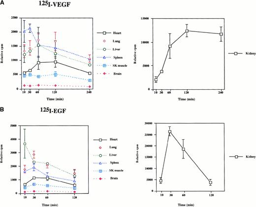 Fig. 1. Radioactivity in mouse tissues after the intraperitoneal injection of 125I-EGF and 125I-VEGF. / A total of 500 000 cpm 125I-VEGF (A) or125I-EGF (B) was injected into the intraperitoneal cavity of mice. Organs were harvested at the times indicated, and radioactivity was measured by gamma spectrometry. Each data point represents the mean and range of results from 2 animals. Radioactivity is expressed as cpm relative to organ weight.