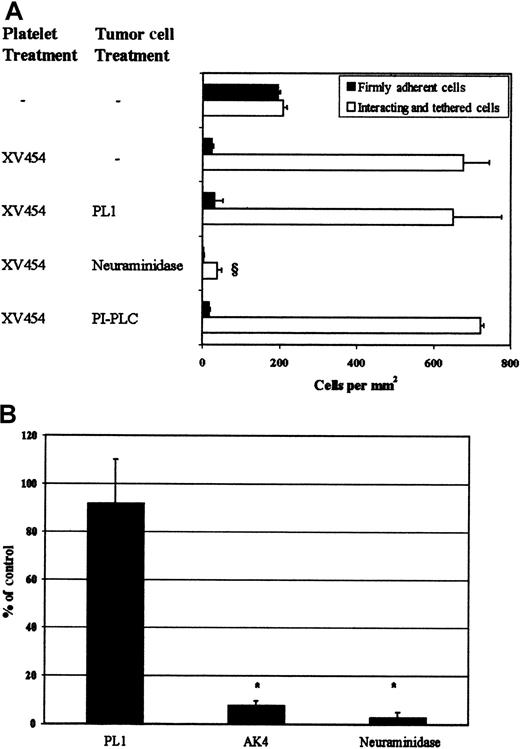 Fig. 5. LS174T cell tethering. / (A) LS174T cell adhesion to surface-adherent platelets under conditions of flow (0.8 dyn/cm2)—effects of mAbs and enzymes. Closed bars represent the stable adherent cells (stationary for > 10 seconds) counted at the end of the 10-minute experiment, whereas open bars represent the total interacting cells counted throughout the entire 10-minute experiment. § P < .05 with respect to anti-αIIbβ3 sample. Values are mean ± SEM of 3-31 experiments. (B) LS174T cell rolling over purified P-selectin at a wall shear stress of 0.8 dyn/cm2. Data are expressed as percentage of untreated (control) LS174T cells that interacted with recombinant P-selectin throughout the 10-minute experiment. *P < .05 with respect to no-treatment control. Values are mean ± SEM of 4-5 experiments. Immobilized platelets were treated with XV454 (blocking αIIbβ3 function) during the 10-minute thrombin incubation. LS174T cells were incubated with PL1 (blocking anti-PSGL-1; 10 μg/mL) for 10 minutes before their perfusion over platelet layers. PL1 saturating concentrations were also maintained in the perfusion buffer. Alternatively, LS174T cells were treated with PI-PLC (1 U/mL for 1 hour at 37°C) or neuraminidase (0.1 U/mL for 30 minutes at room temperature) before infusion to the flow chamber. Purified P-selectin was incubated with an anti-P-selectin mAb (AK4) for 10 minutes before LS174T cell perfusion.