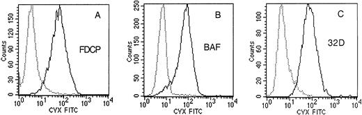 Fig. 5. Binding of Cvx to murine hematopoietic cell lines. / Hematopoietic cell lines were transduced with a retrovirus expressing murine GPVI (mGPVI). Control cells were transduced with the empty virus. The cells were incubated with FITC-coupled Cvx or FITC-coupled bothrojaracin as a control and analyzed by flow cytometry. (A) FDC-P1, (B) Ba/F3, and (C) 32D. Control cells transduced with the empty virus are indicated by the dotted line. The cells transduced with the retrovirus carrying mGPVI are indicated by the plain line.