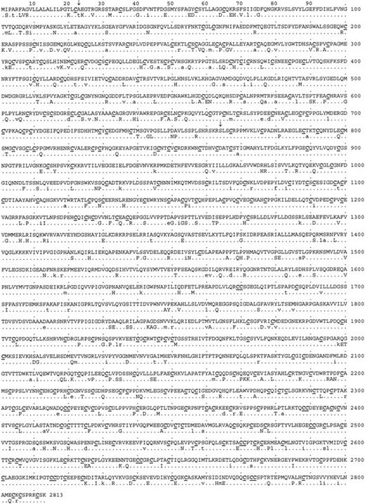 Fig. 2. Comparison of human and canine vWF amino acid sequence. / The protein sequence of human vWF is similar to canine vWF. The continuous amino acid sequence of human pre-pro-vWF is shown, with the differences in the canine sequence below. Conserved residues are represented by a dot, conservative substitutions are shown as lowercase letters, and nonconservative substitutions are shown as capital letters. The 234 cysteine residues, all of which are conserved, are underlined. Signal peptide and propeptide cleavage sites are represented by ↓ symbols. Canine AgII has an RGD sequence beginning at residue 531, in addition to the residues at amino acids 698 in AgII and 2507 in mature vWF, which exist in both the human and canine proteins.