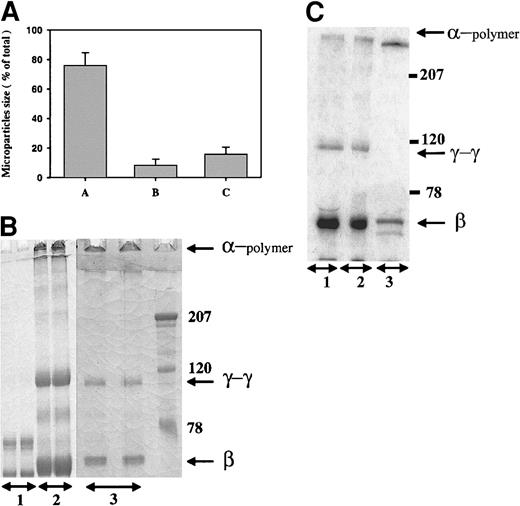 Fig. 1. Characterization of fibrin microparticles. / (A) Size distribution of fibrin microparticles. Microparticles were prepared from thrombin-cleaved plasma, homogenized, and sedimented as described in “Materials and methods.” The size distribution of the suspended microparticles was analyzed using a ZM Coulter counter; the sizes were 1.5-3.25 μm, 3.25-4.05 μm, and >4.05 μm in columns A, B, and C, respectively. (B) Fibrin cross-linking of microparticles. Fibrinogen (lane 1), parent plasma clots (lane 2), and fibrin microparticles derived by homogenization and sedimentation (lane 3) were solubilized in urea and analyzed under reduced conditions on 10% SDS-PAGE. The gels were stained with Coomassie blue dye. The migration of the α-chain polymers, γ-γ dimers, and β chains is shown. The molecular weight markers are shown to the right. (C) Autoradiogram of 125I-fibrin incorporated into plasma clots. 125I-fibrinogen was added to plasma supplemented with unlabeled fibrinogen and clotted with thrombin, and the microparticles were prepared. The parent clot and the final microparticles were analyzed as in panel B, followed by autoradiography; the microparticles are depicted in lane 1; parent clot, lane 2; fibrinogen control, lane 3.