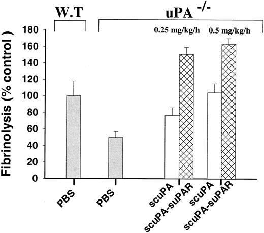 Fig. 5. Fibrinolytic activity of scuPA and scuPA/suPAR in uPA. / −/− mice in vivo. We infused uPA−/− mice with scuPA (■) or scuPA/suPAR (▩) (0.25 or 0.5 mg scuPA/kg/h) via the jugular vein. Five minutes later,125I-fibrin microparticles were injected, and the infusion of scuPA or scuPA/suPAR was continued for another hour. The lungs were harvested, washed, and counted for radioactivity. The data are expressed relative to fibrinolytic activity in WT mice infused with PBS in the same manner for 1 hour, as defined in “Materials and methods.” The means plus or minus SEM of 2 experiments, each involving data from 3-5 mice in each experimental group, are shown.