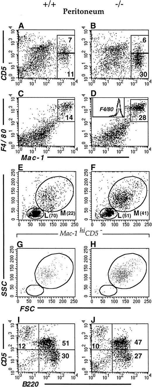 Fig. 3. Flow cytometric analysis of peritoneal cells. / Cells from wt (A,C,E,G,I) and Lsp1−/−(B,D,F,H,J) mice were stained with anti-Mac-1-FITC versus anti-CD5-PE (A,B) or anti-F4/80-biotin/streptavidin-PE (C,D). The inset in panel D shows histograms of F4/80 stainings from panels C (regular line) and D (bold line). Panels E, F, G, and H illustrate the FSC/SSC plots of all cells (E,F) and of Mac-1hiCD5− subsets (G,H) gated from the analysis illustrated in panels A and B, respectively. Peritoneal cells with FSC/SSC properties of small live lymphocytes were analyzed for staining with anti-B220-FITC versus anti-CD5-PE (I,J).