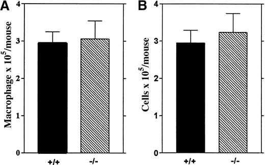 Fig. 6. Alveolar macrophages from wt and. / Lsp1−/− mice. The number of macrophages (A) and total cells (B) recovered from 5 mice per genotype are illustrated as mean values ± 1 SEM.