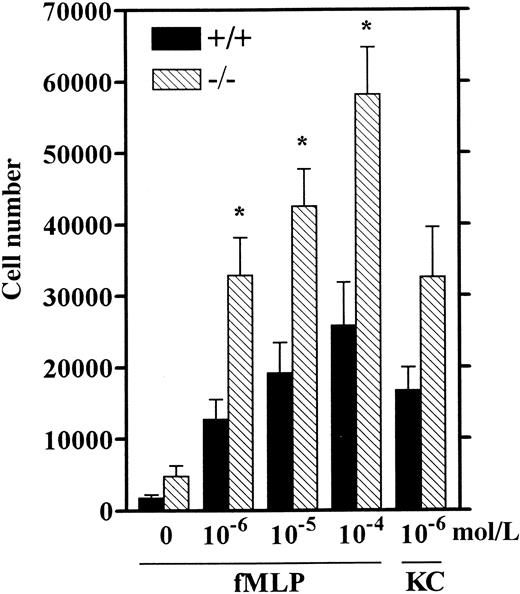 Fig. 8. Chemotaxis of wt (+/+) and LSP1 −(−/−) neutrophils. / HBSS containing Ca++ and Mg++ with 0.1% BSA in the absence (0) or presence of fMLP (10−6-10−4 mol/L) or KC (10−6mol/L) was placed in the bottom chambers and calcein-am-labeled cells (4 × 106/mL) were loaded in the upper wells and chemotaxis assay was performed as described in “Materials and methods.” The number of cells migrating across polycarbonate filters ± 1 SEM of 6 mice per genotype is represented. *, P < .01.