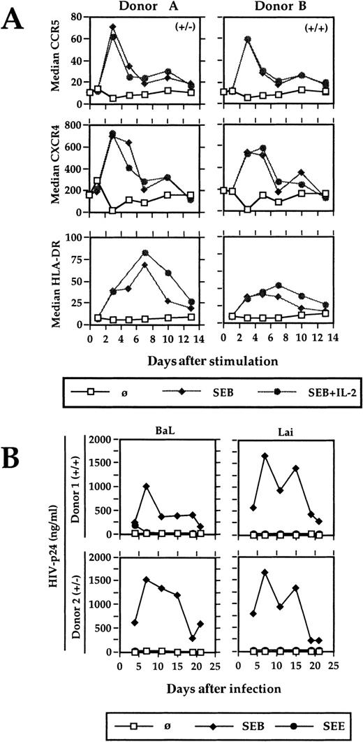 Fig. 2. Kinetic of CCR5, CXCR4, and HLA-DR expression and HIV expansion after antigenic stimulation. / (A) Positively selected Vβ3-, Vβ14-, and Vβ17-bearing CD4 T cells were stimulated with SEB (20 ng/mL) in the presence of autologous APCs and the surface expression of CCR5, CXCR4, and HLA-DR was analyzed by flow cytometry. Two representative results from 8 different blood donors are shown. (B) The SEB-reactive CD4+ T cells were stimulated and infected with HIV-1Lai and HIV-1BaL. HIV-p24 was determined in the cell-free culture supernatant by ELISA. (+/−) and (+/+) characterizes the genotype of CCR5 of the respective blood donors A and B as determined by PCR. (−) represents the 32-bp deletion of one allele. A comparable HIV expansion was observed with T cells from 4 different blood donors.