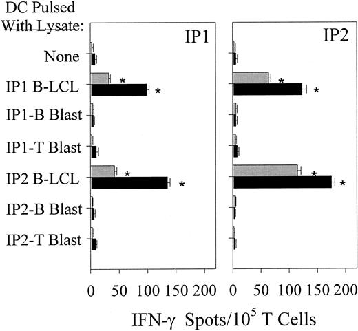 Fig. 4. Mature DCs cross-present LCL-derived epitopes derived from freeze–thaw lysates to freshly isolated CD4+and CD8+ T cells. / Immature DCs generated from donors IP1 and IP2 were loaded with lysate fractions 10 kd or larger prepared from either donors' EBV B-LCL or B-cell/T-cell blasts. After maturation was induced (see “Materials and methods”), DCs were added to freshly isolated autologous CD4+ and CD8+ T cells in 20-hour IFN-γ Elispot assays. Resulting spots were developed and counted as described in Figure 1. Each bar represents the mean spot number of triplicates ± SD per 105 CD4+ T lymphocytes (▪) or CD8+ T lymphocytes (░) initially seeded per well. Calculation of lysate-responsive T-cell frequencies were performed as outlined in Figure 1. Results were confirmed in 4 independent experiments.
