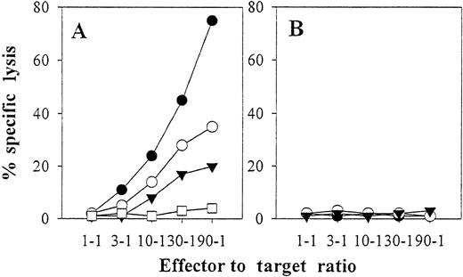 Fig. 6. Autologous mature DCs pulsed with EBV B-LCL cells versus freeze–thaw lysates stimulate anti-EBV CD8+ CTL in vitro. / CD8+ T cells were purified from the blood of EBV-seropositive donor IP2 and were then repetitively stimulated on a weekly basis (days 0, 7, and 14) with autologous intact EBV B-LCL cells (●) or with autologous mature DCs preloaded with freeze–thaw lysates (10 kd or larger) prepared from autologous EBV B-LCL (○), autologous T-cell blasts (■), or allogeneic EBV-B LCL of donor IP1 (▾). On day 23 of culture, responder lymphocytes were harvested and were tested in a 6-hour 51Cr release assay at the indicated effector-to-target ratios for cytolytic activity against autologous EBV B-LCL (A) or autologous T-cell blasts (B) in the presence of a 20-fold excess of nonlabeled K562 competitors. For all responder lymphocyte cultures, lysis of labeled K562 in the presence of a 20-fold excess of nonlabeled K562 was below 5% at all effector-to-target ratios evaluated (not shown). The data depicted are from 1 representative experiment of 3 performed.