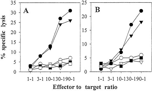 Fig. 7. Autologous mature DCs pulsed with autologous or allogeneic EBV B-LCL freeze–thaw lysates stimulate anti-EBV CD8+ CTL in vitro. / Purified CD8+ lymphocytes from EBV-seropositive donor IP3 were stimulated with autologous DCs loaded with freeze–thaw lysates prepared from autologous IP3 EBV B-LCL (A) or allogeneic IP2 EBV B-LCL (B) as described in “Materials and methods” and Figure 6. Six-hour51Cr-release assays were performed on day 24 (10 days after restimulation on day 14). K562 cells were not added as cold-target inhibitors because T-cell specific lysis of K562 was less than 5% at all effector-to-target ratios (data not shown). The percent specific lysis is reported against IP1 EBV B-LCL (▪), IP2 EBV B-LCL (▿), IP3 EBV B-LCL (●), IP3 EBV B-LCL in the presence of blocking mAb directed against MHC class I (W6/32, ○) or MHC class II (L243, ▾) molecules, or IP3 T blasts (■). Donors IP1, IP2, and IP3 are completely mismatched for HLA class I.