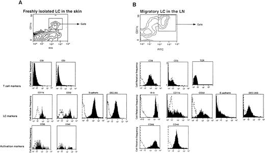 Fig. 1. Migratory LC in the LN, but not in the skin, express CD8α. / (A) LC were isolated from skin and immediately analyzed by FACS. Contour plots represent IA-b versus CD11c profiles, and the histograms show the phenotypes of IA-b+ CD11c+ cells. (B) Four days after skin painting with FITC, DC were isolated from LN using density-gradient centrifugation. Contour plots represent FITC versus CD11c profiles of the DC-enriched population, and the histograms show the phenotypes of the FITC+CD11c+ gated cells. Dashed lines give the background fluorescence obtained with an isotype control.