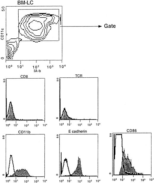 Fig. 3. Phenotype of BM-LC. / Bone marrow cells were harvested from CD8 wild-type mice and cultured for 13 days at 1 × 105 cells/mL in CM containing GM-CSF, TGF-β, and SCF and then cultured in the presence of TNF-α and GM-CSF and IL-4 for 3 additional days. Contour plots show the CD11c versus IA-b profile of the cells obtained at day 16 of culture. Histograms show the phenotypes of the CD11c+IA-b+-gated cells.