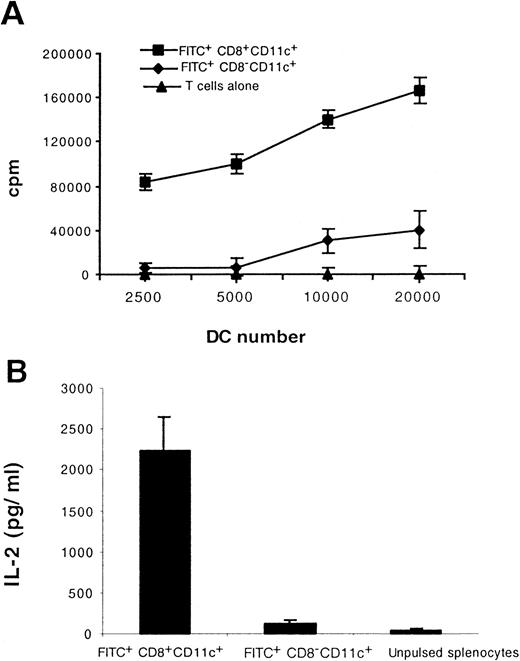 Fig. 7. Functional maturation accompanies CD8 induction on migratory LC. / Mice were immunized intradermally with ovalbumin and then painted with FITC. Twenty-four hours later FITC+CD8+CD11c+ and FITC+CD8−CD11c+ cells in the draining LN were isolated and tested for their ability to stimulate 2 × 105 allogeneic T cells (A) and to process and present antigen to 5 × 104 class I MHC-restricted, ovalbumin-specific T hybridoma cells. (B). Results shown are representative of 2 separate experiments.