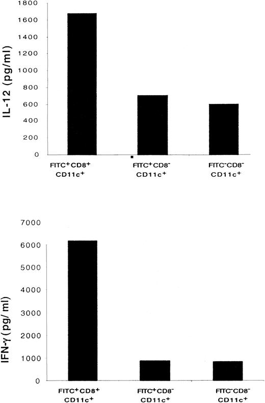 Fig. 8. CD8+ LC secrete higher levels of IL-12 and IFN-γ than CD8− DC. / Sorted populations of 1 × 105FITC+CD8+CD11c+, FITC+CD8−CD11c+, and FITC−CD8−CD11c+ DC were cultured in the presence of IL-12 to induce IFN-γ secretion or in the presence of lipopolysaccharide to induce IL-12 secretion. Forty-eight hours later, the cytokine profile of each population was determined by ELISA. Results of 1 of 3 representative experiments are shown.