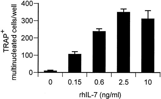 Fig. 2. IL-7 induces OC formation from PBSCs in a dose-dependent manner. / PBSC cultures were stimulated with rhIL-7 (0 to 10 ng/mL) and TRAP+ multinucleated cells counted after 7 to 10 days of culture. Data points are shown as average + SD of 3 replicate wells. Data are representative of 3 independent experiments.
