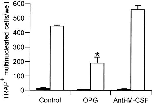 Fig. 6. The RANKL inhibitor OPG blunts OC formation induced by IL-7 stimulated T-cell CM. / Purified monocytes from PBSCs were induced to form OCs by stimulation with one quarter volume (final) of IL-7–stimulated T-cell CM (4 × concentrated) (■), in the presence or absence of the RANKL inhibitor OPG (1 μg/mL). (▪, unstimulated.) After 7 to 10 days in culture, TRAP+ multinucleated cells were counted. Data representative of 3 independent experiments. P < .01 with respect to IL-7–stimulated T-cell CM control.